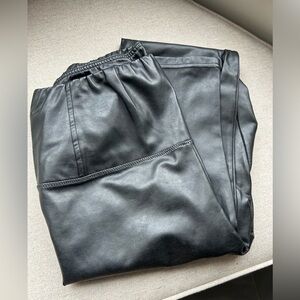 Aritzia Wilfred Daria Leather Leggings